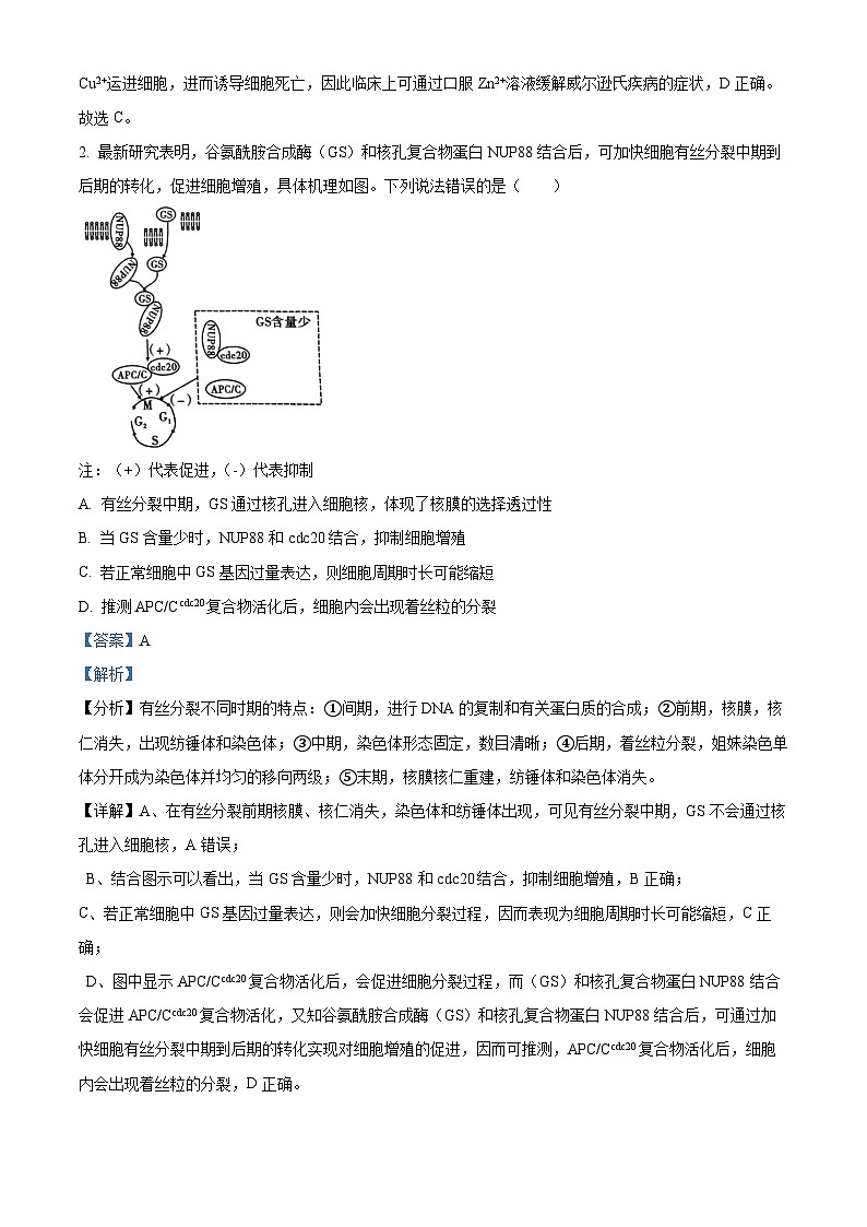 重庆市第一中学2024-2025学年高三上学期9月月考生物试题 Word版含解析第2页