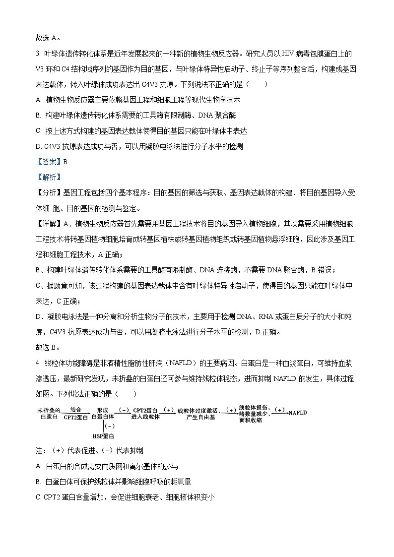 重庆市第一中学2024-2025学年高三上学期9月月考生物试题 Word版含解析第3页