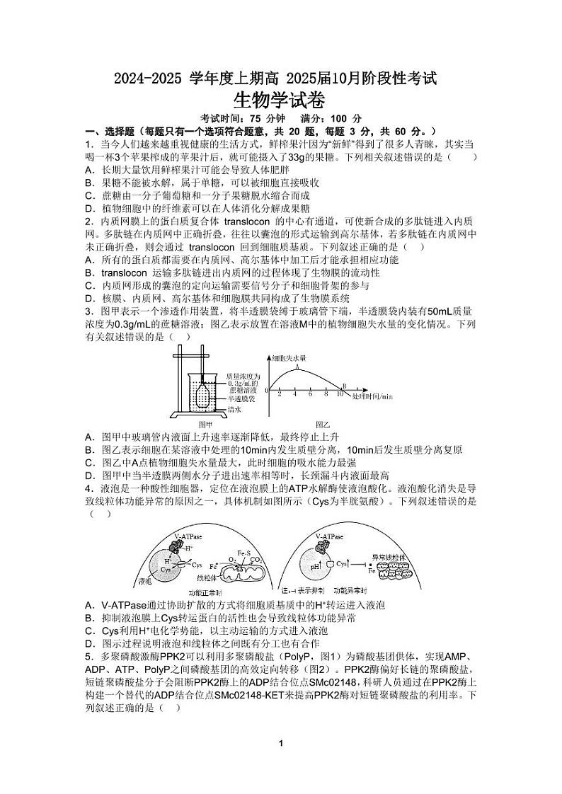 四川省成都市第七中学2024-2025学年高三上学期10月月考生物试题第1页