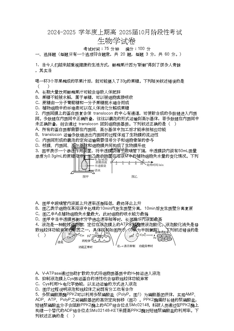 四川省成都市第七中学2024-2025学年高三上学期10月月考生物试题第1页