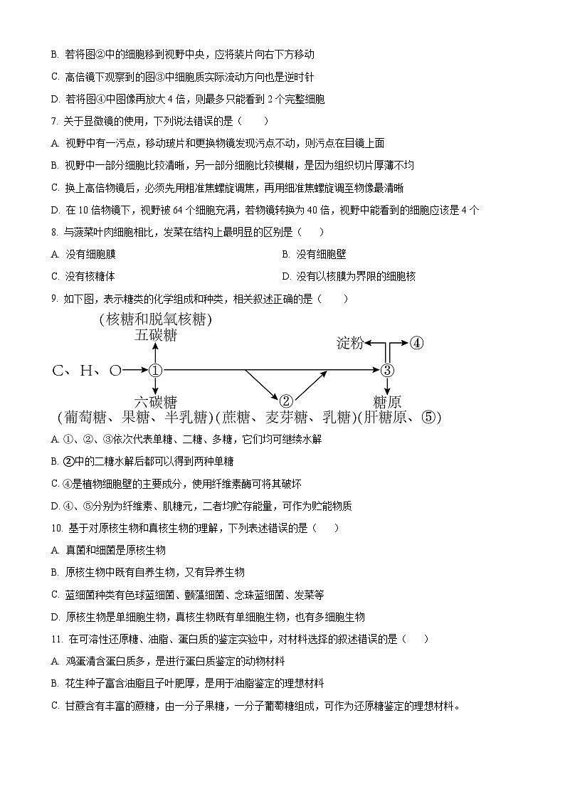 吉林省通化市梅河口市第五中学2024-2025学年高一上学期9月月考生物试题（Word版附解析）02