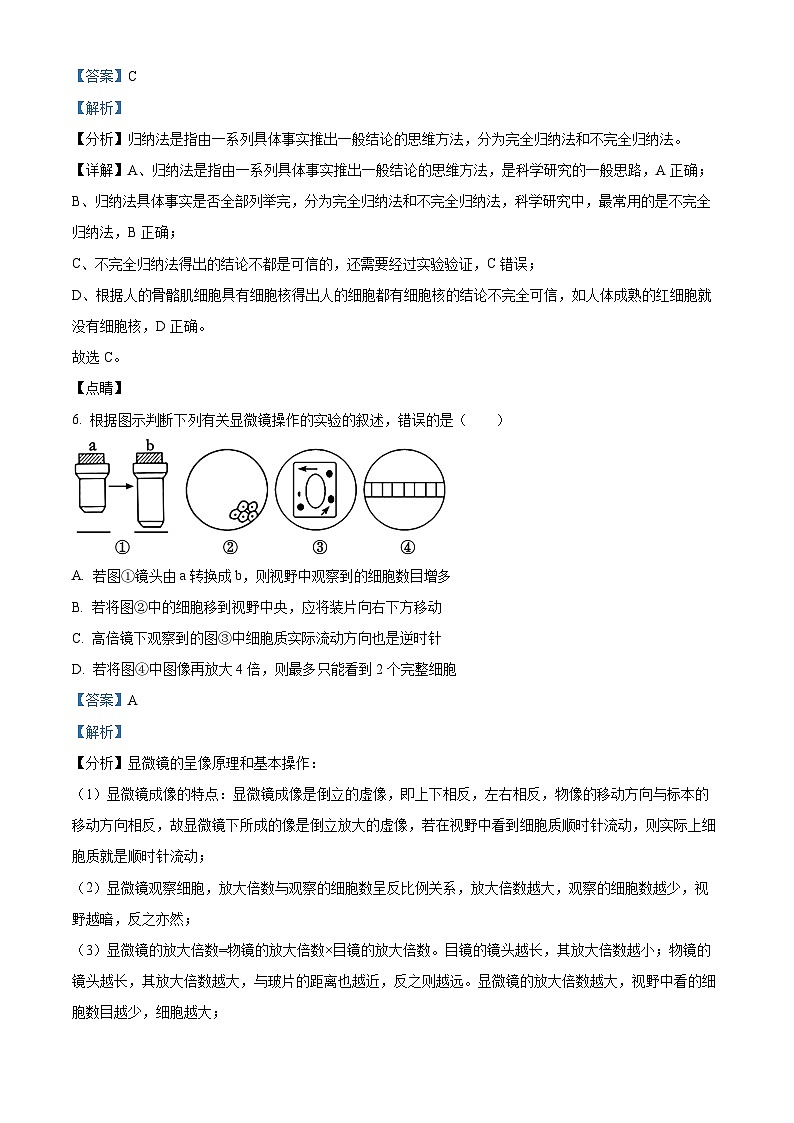 吉林省通化市梅河口市第五中学2024-2025学年高一上学期9月月考生物试题（Word版附解析）03