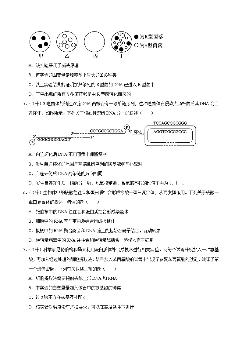 河北省保定市部分高中2024-2025学年高二上学期开学生物试卷02
