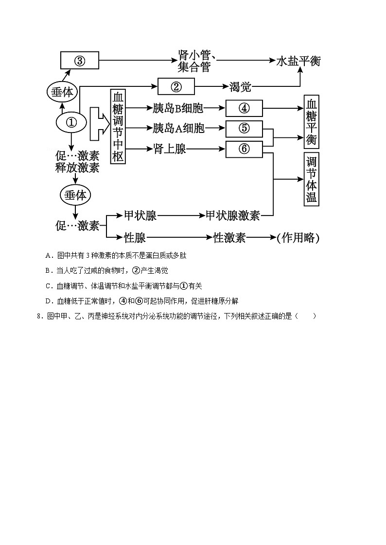 广西南宁市第二中学2024-2025学年高二上学期9月月考生物试题第3页