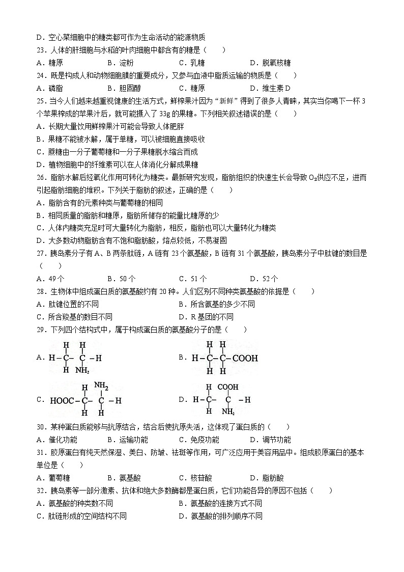 江苏省无锡市运河中学2024-2025学年高一上学期生物月考试题(无答案)第3页