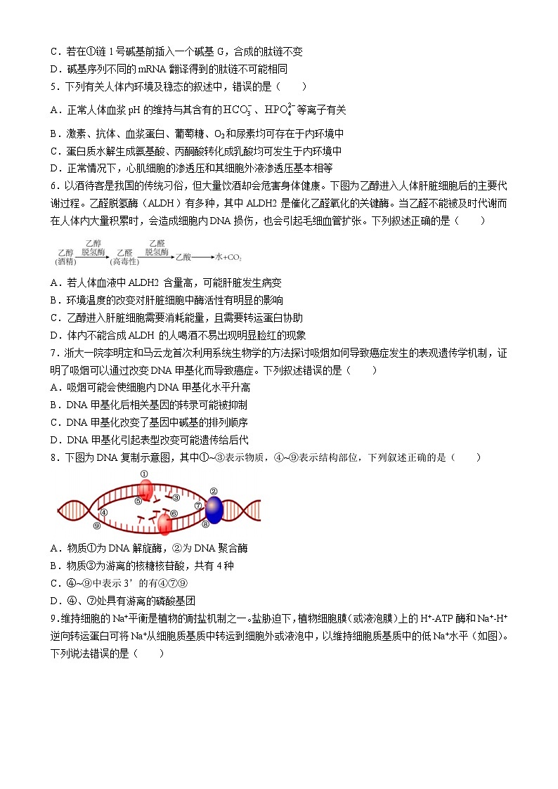 湖南省株洲市世纪星高级中学2024-2025学年高二上学期10月月考生物试题(无答案)第2页