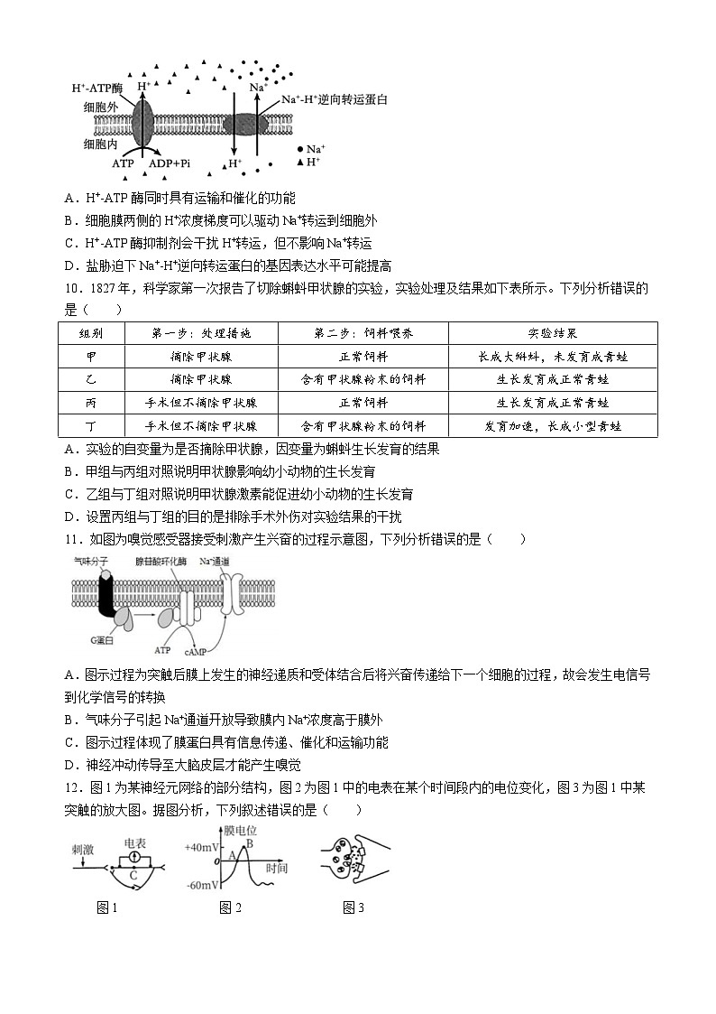 湖南省株洲市世纪星高级中学2024-2025学年高二上学期10月月考生物试题(无答案)第3页