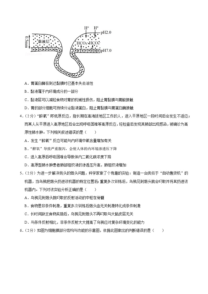 湖北省部分省级示范高中2023-2024学年高二上学期期中考试生物试题第2页