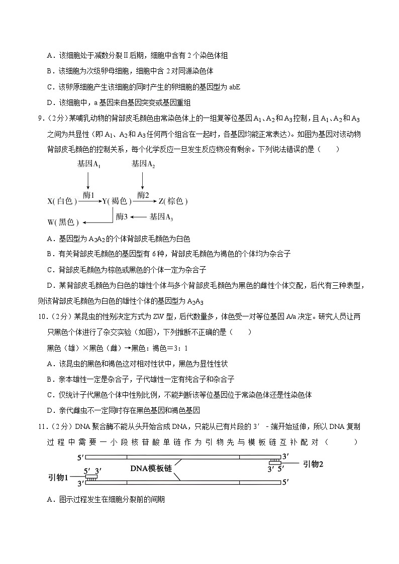 黑龙江省肇州县第二中学2023-2024学年高三上学期11月月考生物试题第3页