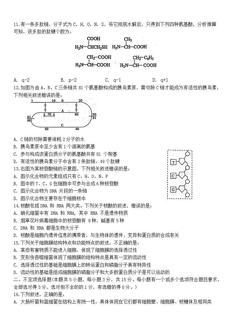 黑龙江省牡丹江市爱民区牡丹江市第一高级中学2024-2025学年高一上学期10月月考生物试题03