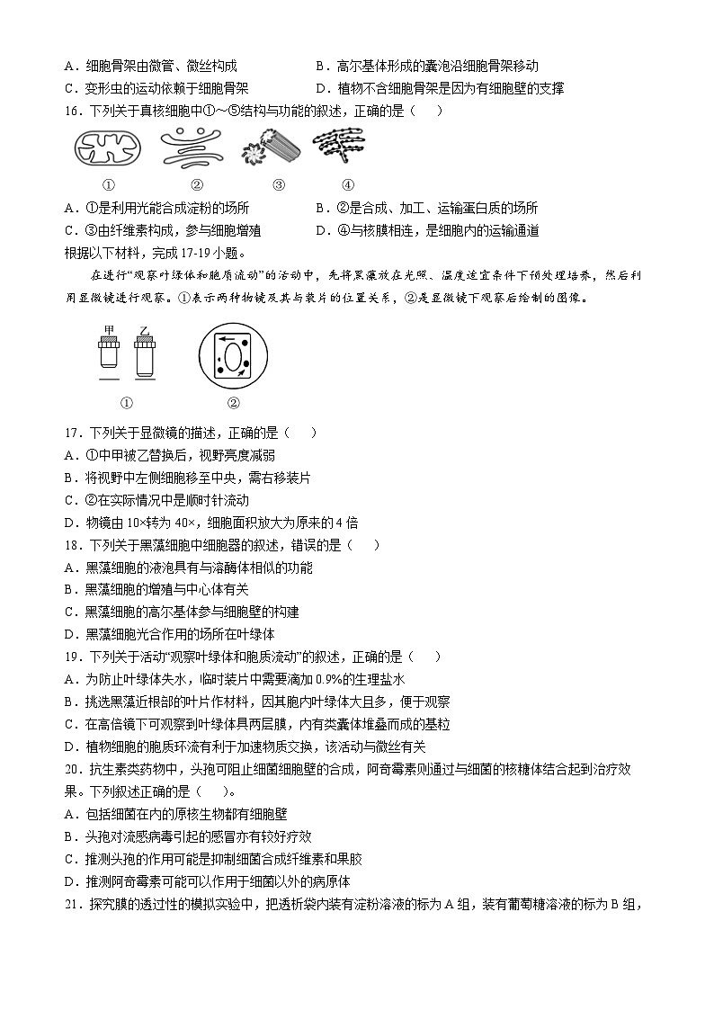 浙江省育英中学、温州第十四高级中学2024-2025学年高一上学期10月联考生物试题第3页