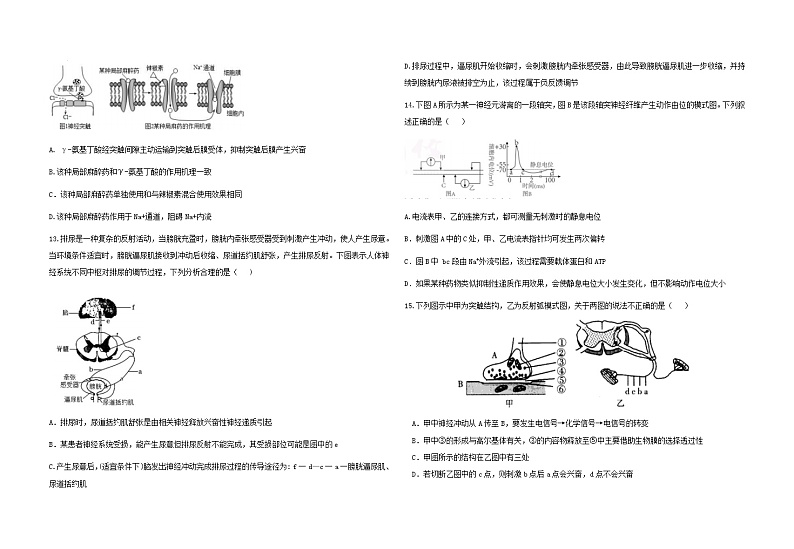 云南省临沧市临翔区临沧市临翔区第一中学2024-2025学年高二上学期生物月考试题03