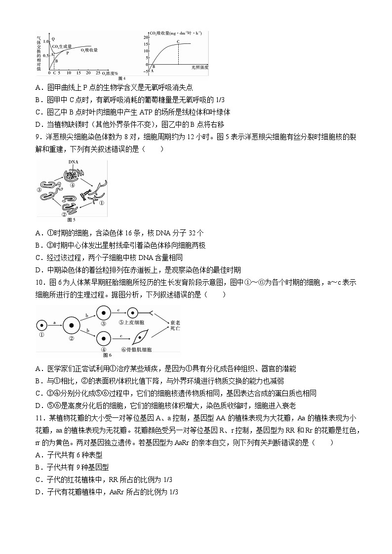 云南省大理白族自治州下关一中教育集团2024-2025学年高二上学期10月月考生物试题03