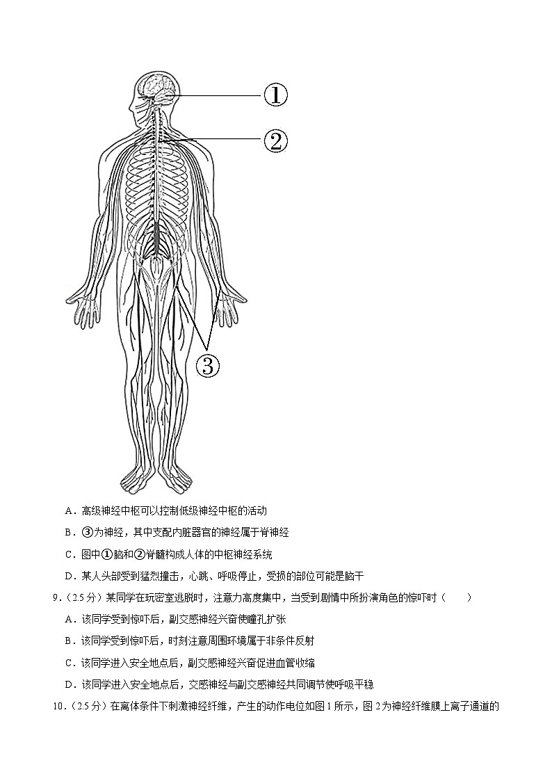 陕西省榆林市府谷县府谷中学、府谷一中2024-2025学年高二上学期9月月考生物试题03