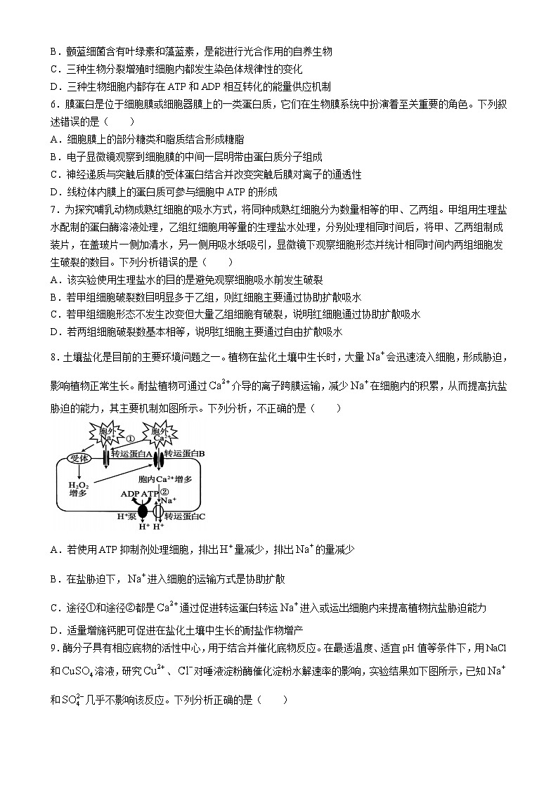 四川省广安市友实学校2024-2025学年高三上学期10月月考生物试题第2页