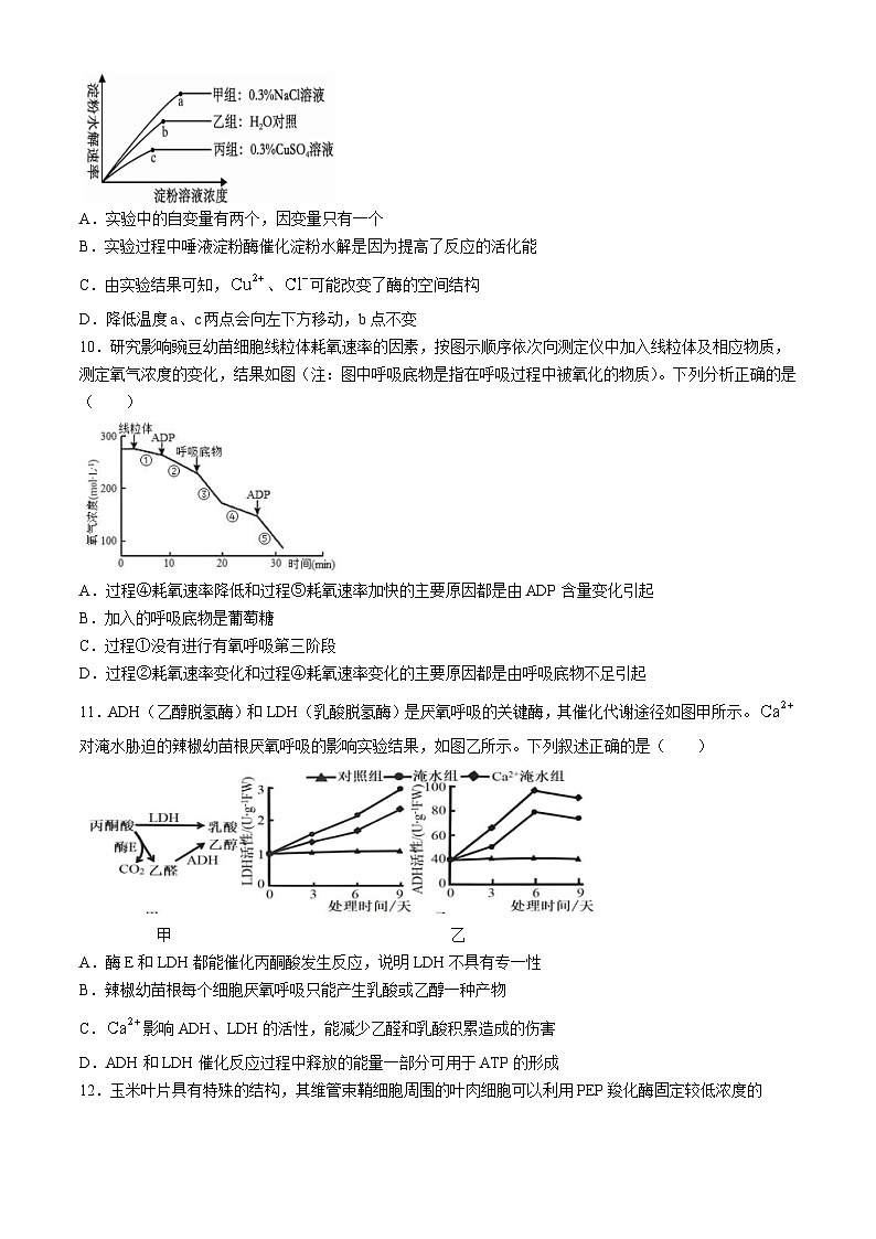 四川省广安市友实学校2024-2025学年高三上学期10月月考生物试题第3页