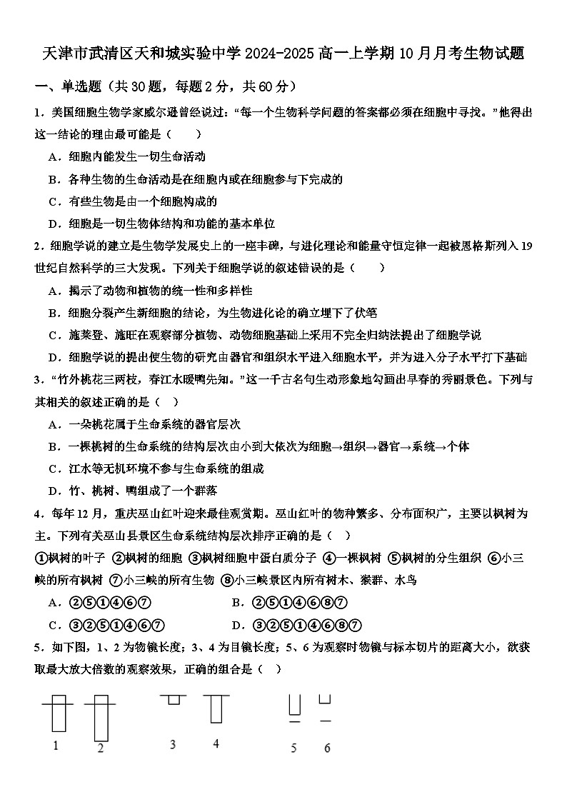 天津市武清区天和城实验中学2024-2025高一上学期10月月考生物试题第1页