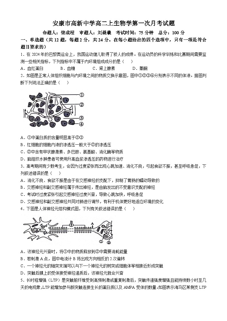 陕西省安康市2024—2025学年高二上学期10月联考生物试题(无答案)第1页