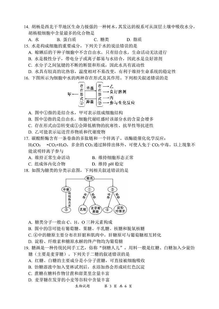 10月生物试题第3页