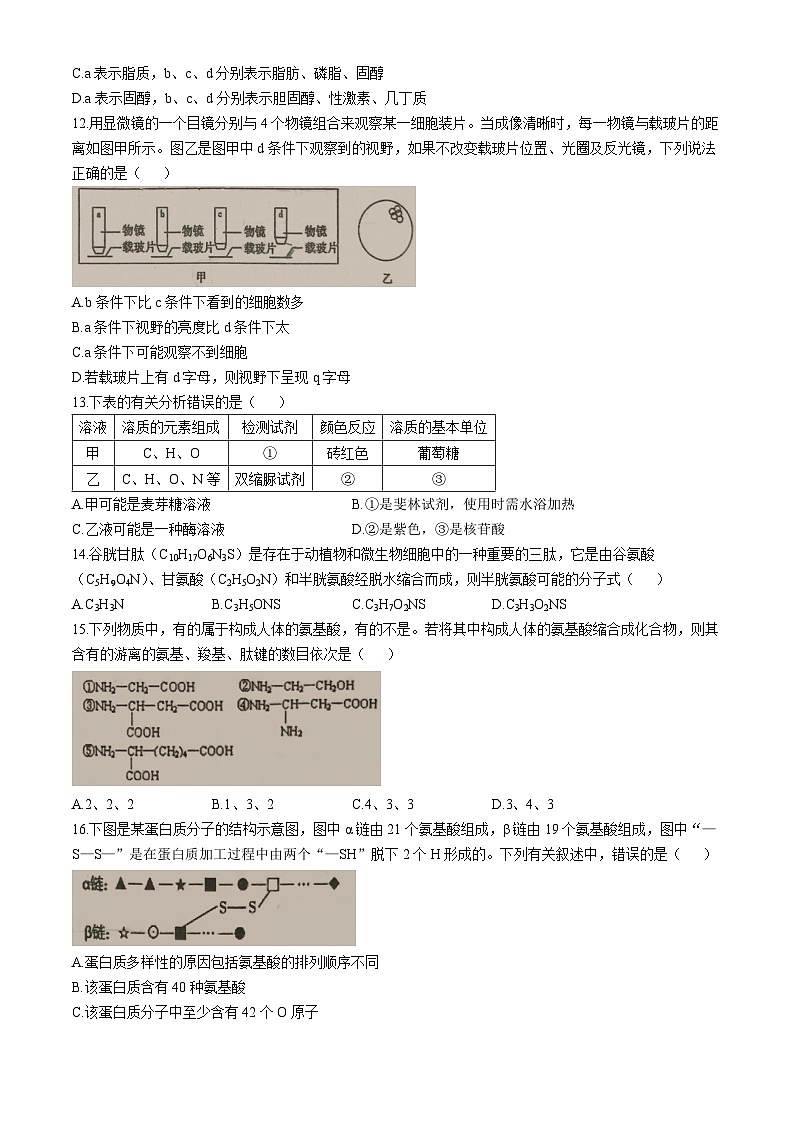 福建省安溪第八中学2024-2025学年高一上学期10月月考生物试题(无答案)第3页