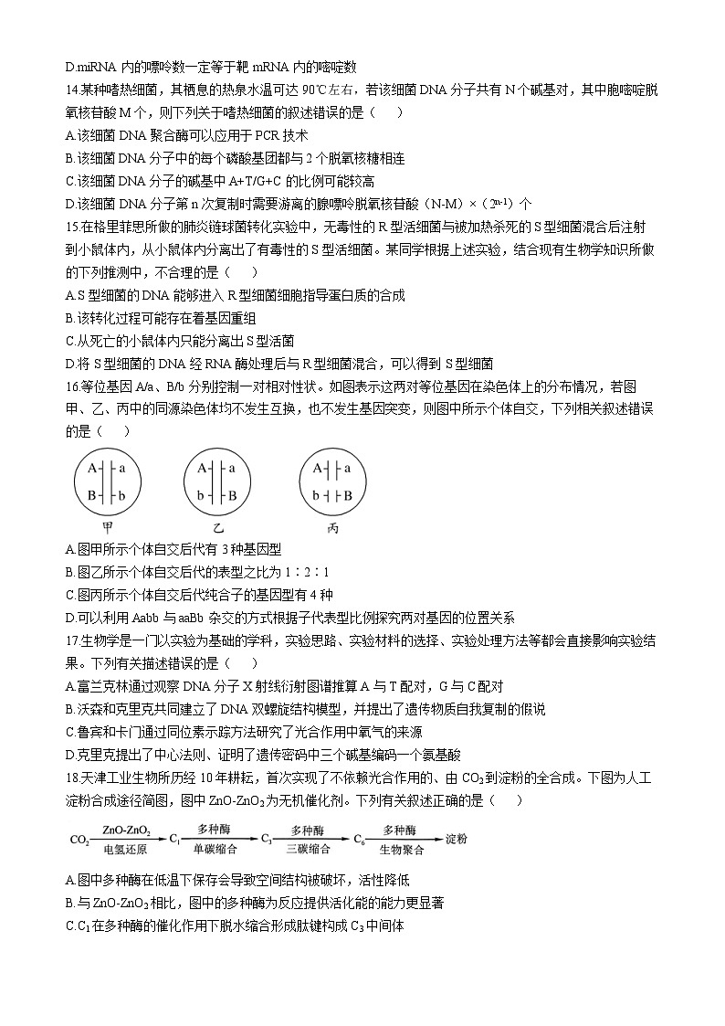 黑龙江省齐齐哈尔市2024-2025学年高三上学期10月月考生物试题 第3页