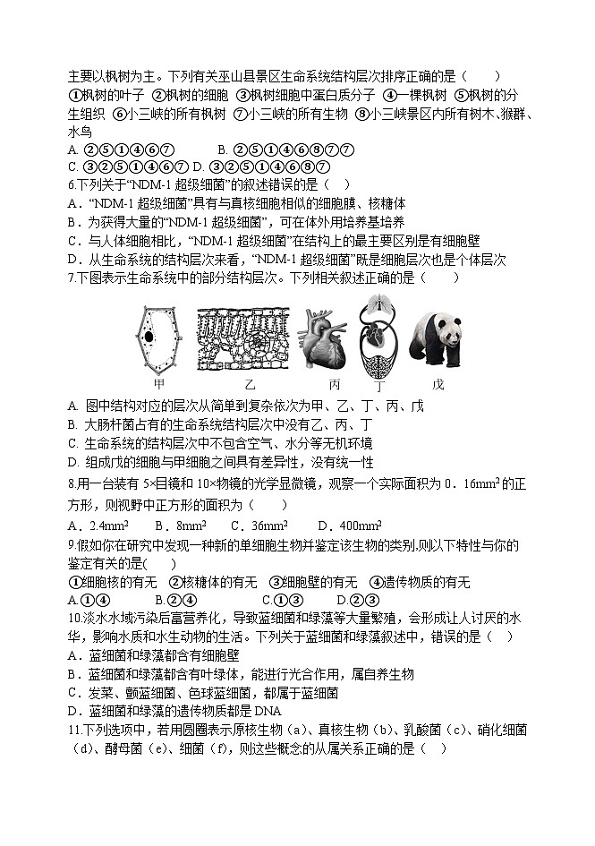 天津市天津市静海区天津市静海区第一中学2024-2025学年高一上学期10月月考生物试题02