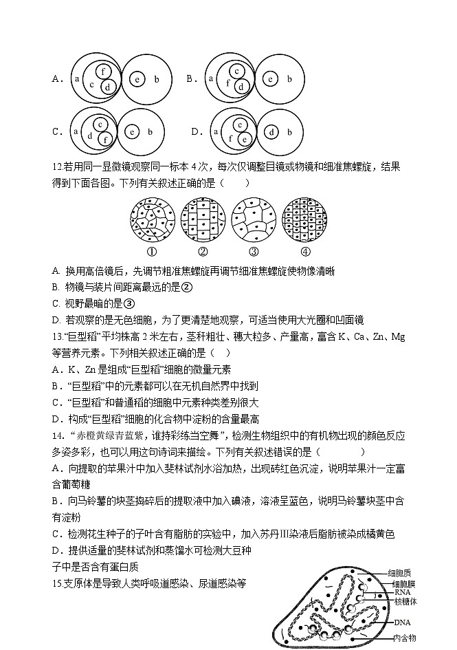 天津市天津市静海区天津市静海区第一中学2024-2025学年高一上学期10月月考生物试题03