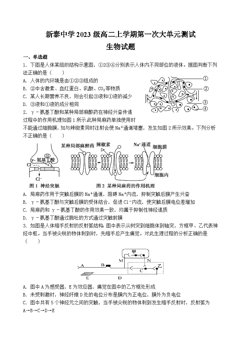 山东省泰安市新泰第一中学老校区（新泰中学）2024-2025学年高二上学期第一次月考生物试题第1页