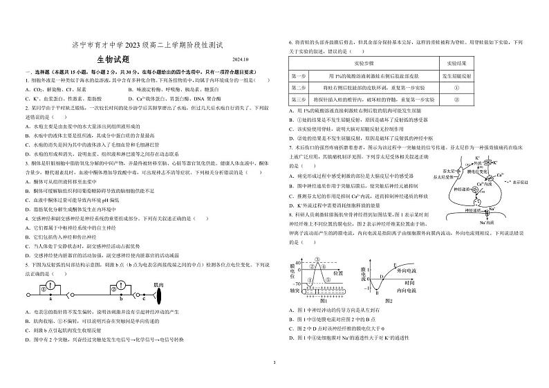 山东省济宁市育才中学2024-2025学年高二上学期10月月考生物试题第1页