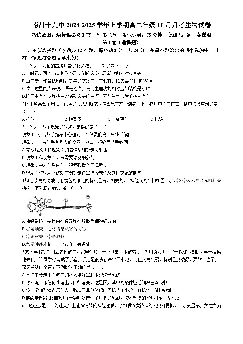 江西省南昌市东湖区南昌市第十九中学2024-2025学年高二上学期10月月考生物试题第1页