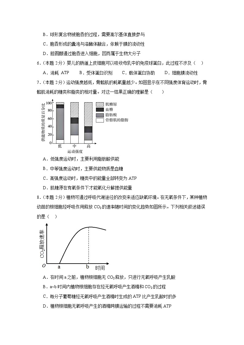 福建省莆田市涵江区莆田锦江中学2024-2025学年高三上学期10月月考生物试题第2页