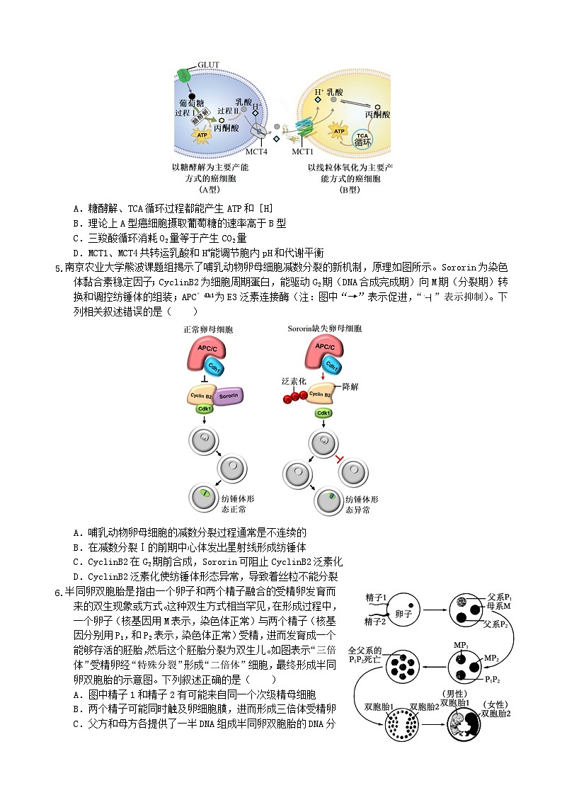 重庆市“名校方案联盟”2024-2025学年高三上学期10月大联考生物试题02