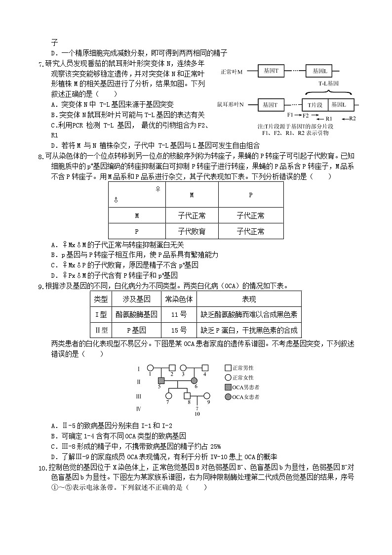 重庆市“名校方案联盟”2024-2025学年高三上学期10月大联考生物试题03