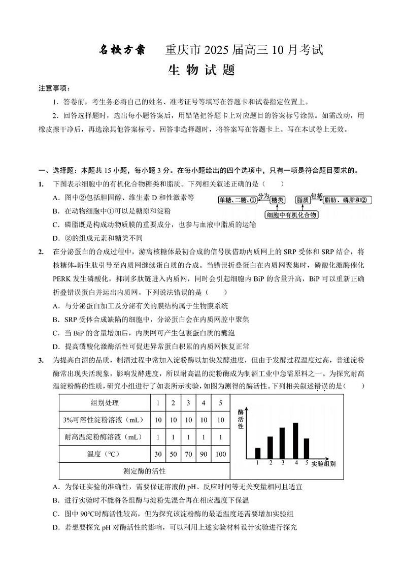 重庆市“名校方案联盟”2024-2025学年高三上学期10月大联考生物试题01