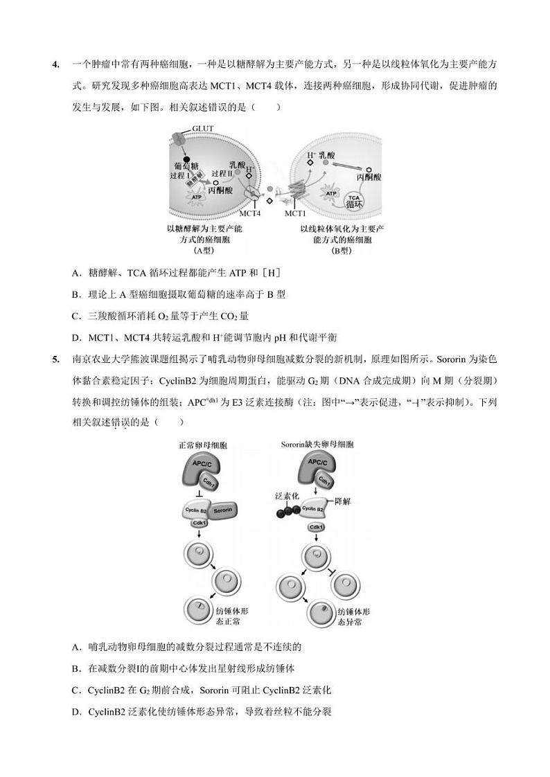 重庆市“名校方案联盟”2024-2025学年高三上学期10月大联考生物试题02