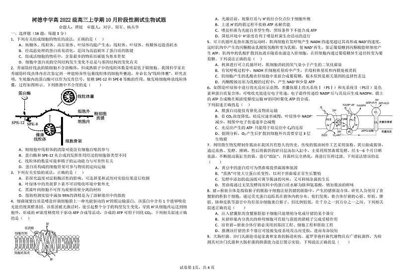 四川省成都市树德中学2025届高三上学期10月月考生物试题（含答案）第1页