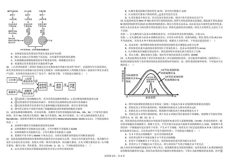 四川省成都市树德中学2025届高三上学期10月月考生物试题（含答案）第2页