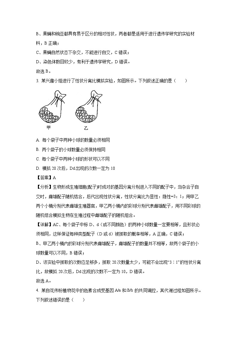 [生物]黑龙江省龙东十校2024-2025学年高二上学期开学考试试题(解析版)02