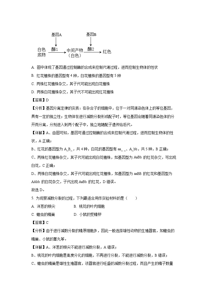[生物]黑龙江省龙东十校2024-2025学年高二上学期开学考试试题(解析版)03