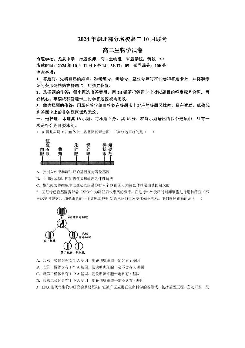 [生物]湖北省部分名校2024～2025学年高二上学期10月月考试题(含解析)01