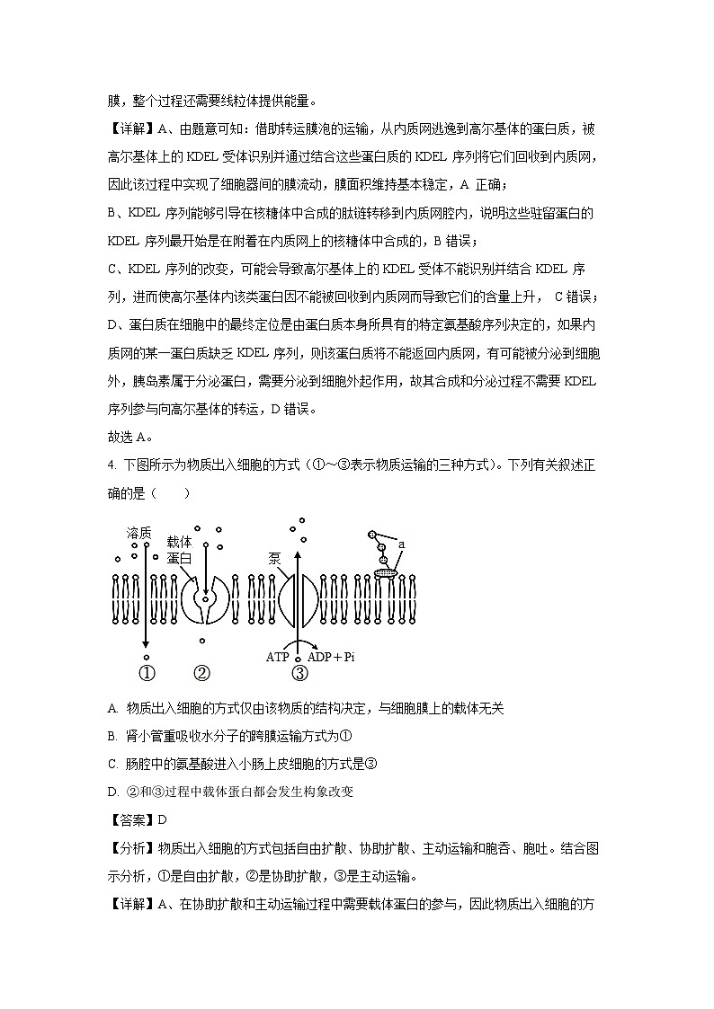 [生物]湖南省部分省示范性高中2024-2025学年高二上学期第一次联考(入学考试)试题(解析版)第3页