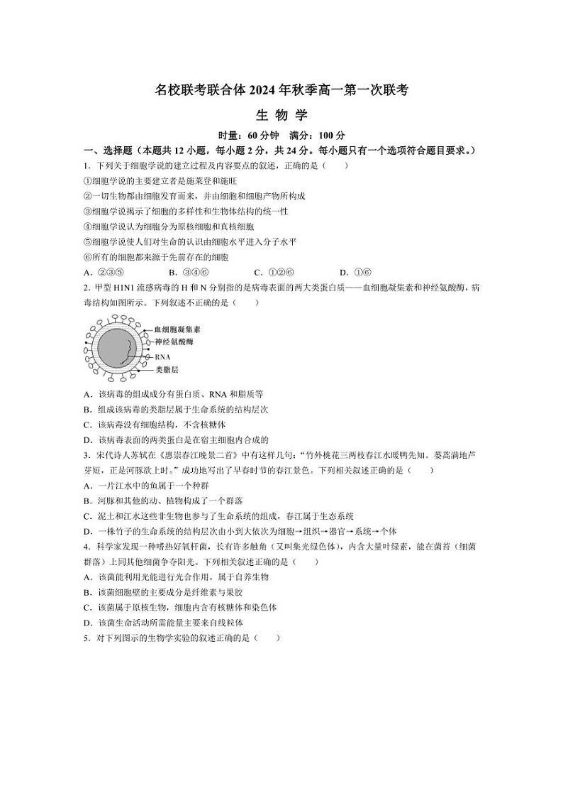 [生物]湖南省名校联考联合体2024～2025学年高一上学期第一次联考月考试题(含答案)第1页