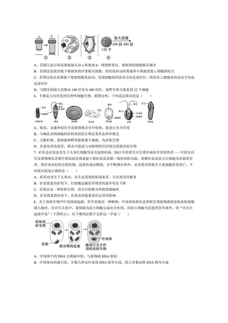 [生物]湖南省名校联考联合体2024～2025学年高一上学期第一次联考月考试题(含答案)第2页