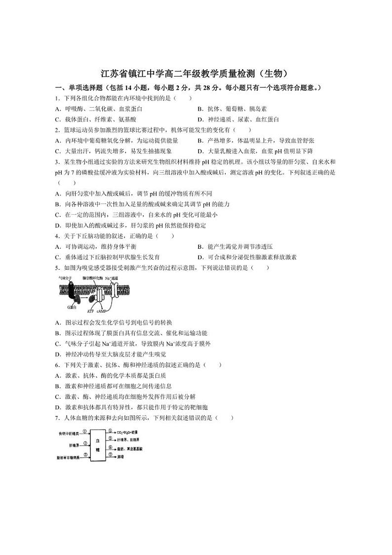 [生物]江苏省镇江中学2023～2024学年高二上学期10月月考试卷(含答案)第1页