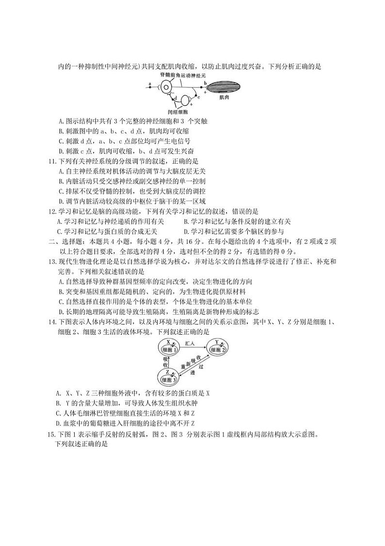 [生物]江西省赣州市2024～2025学年高二上学期10月检测试卷(含解析)第3页