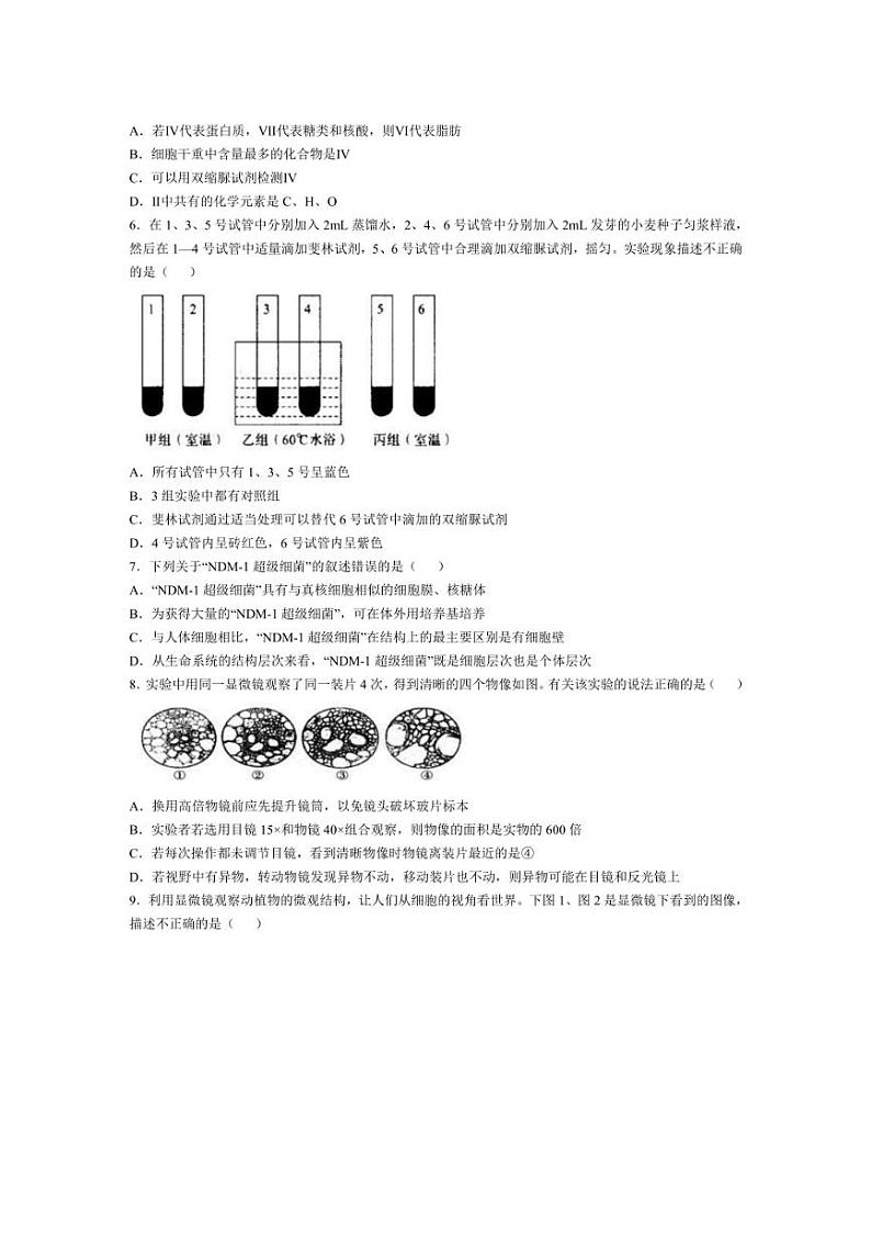 [生物]江西省九江市同文中学2024～2025学年高一上学期第一次月考试题(含答案)02