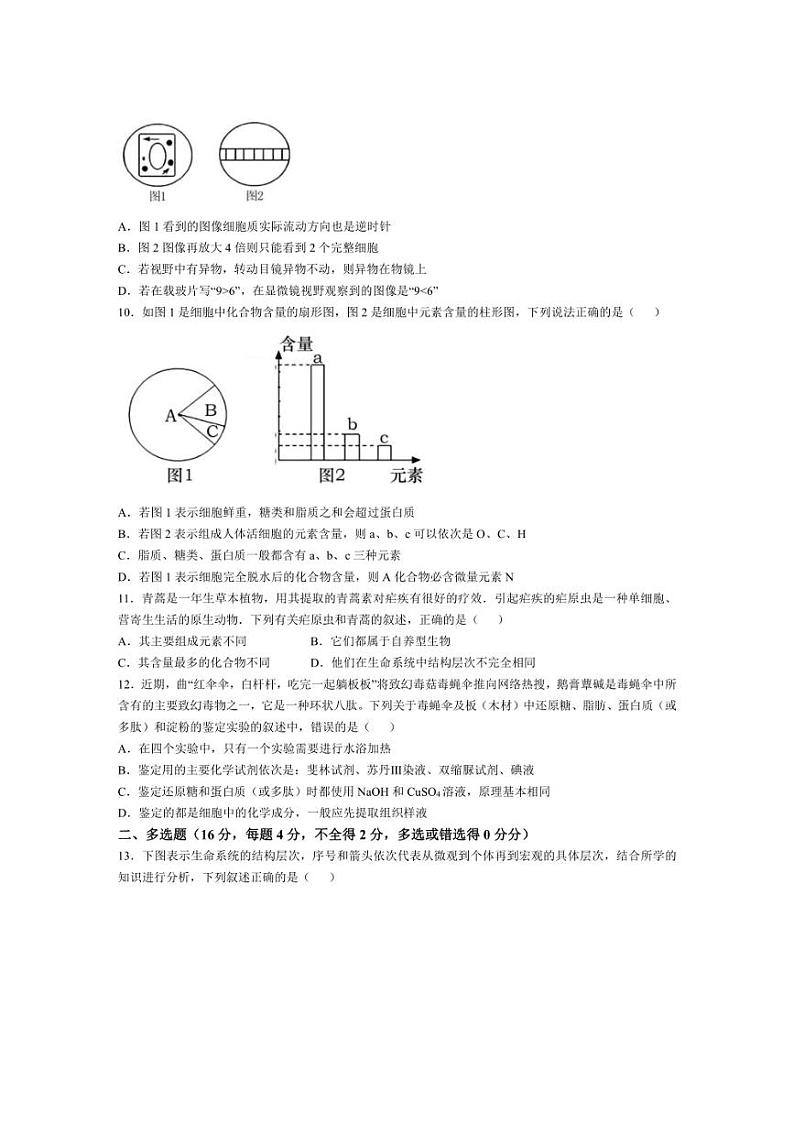 [生物]江西省九江市同文中学2024～2025学年高一上学期第一次月考试题(含答案)03