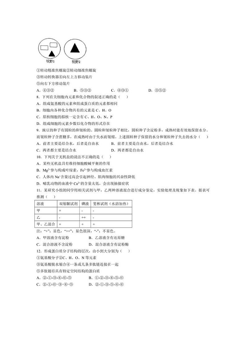 [生物]辽宁省辽东南协作体2024～2025学年高一上学期10月月考试卷(含答案)第2页