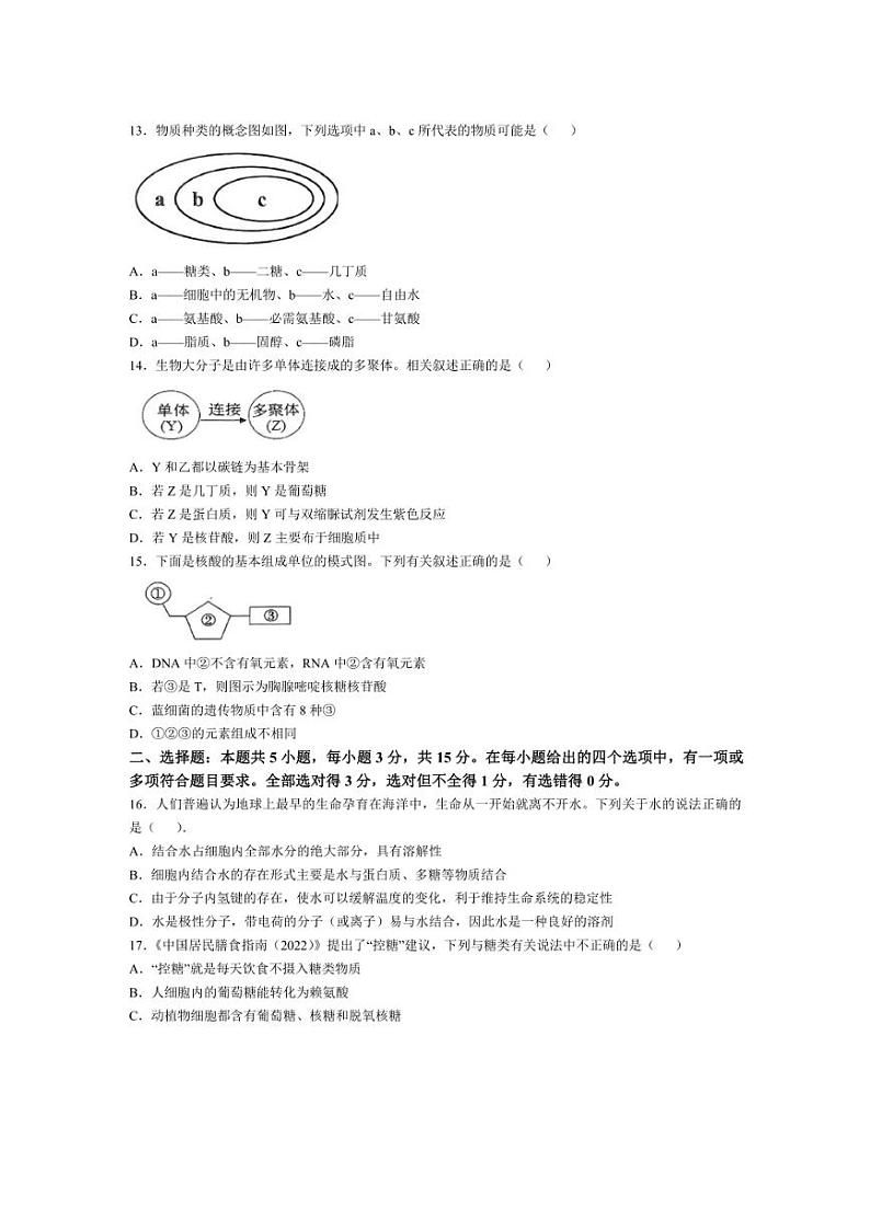 [生物]辽宁省辽东南协作体2024～2025学年高一上学期10月月考试卷(含答案)第3页