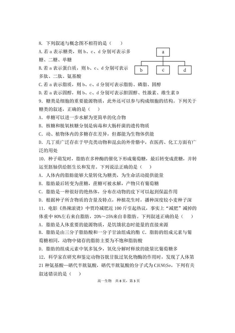 [生物]辽宁省七校2024～2025学年高一上学期10月联考试卷(含答案)第3页